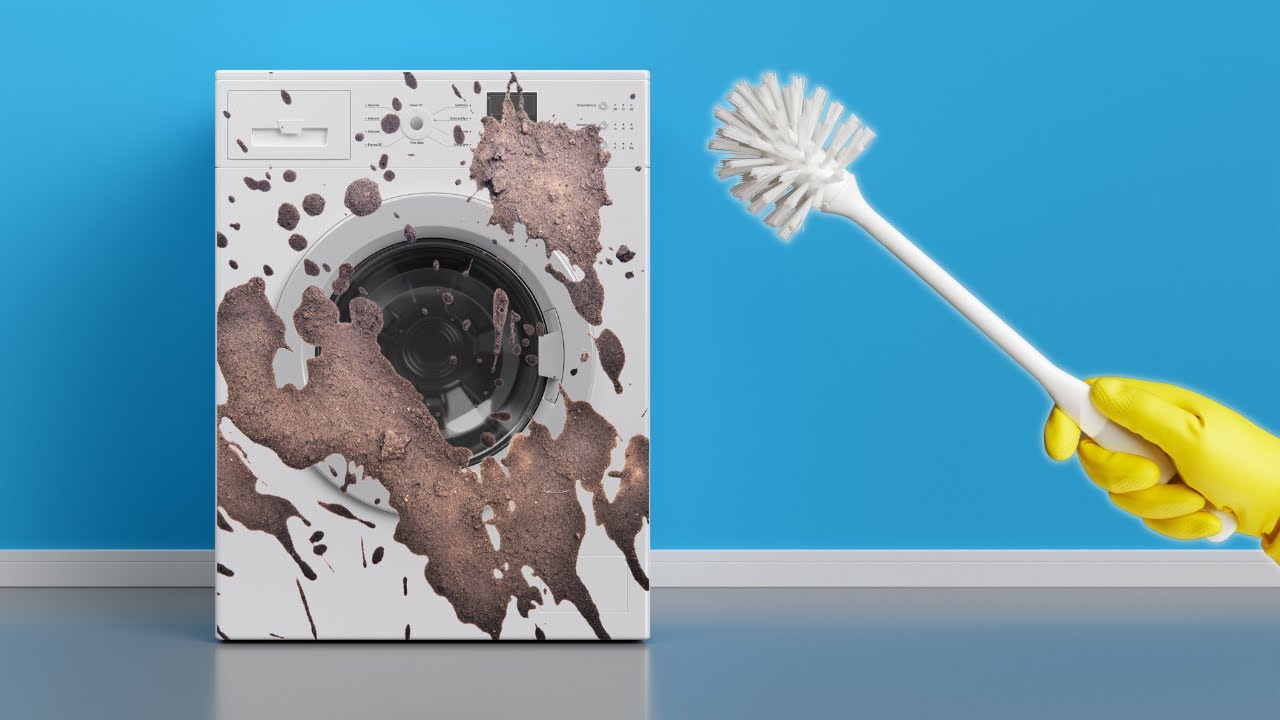 Banish Odors and Stains for Good The Complete Guide to Cleaning Your